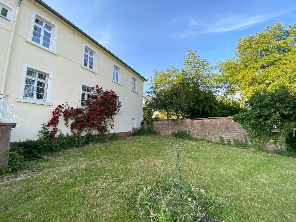 Schloss Hainfeld エクステリア 写真