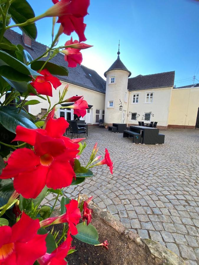 Schloss Hainfeld エクステリア 写真